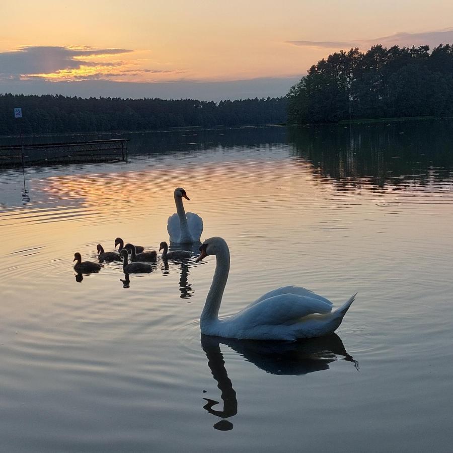Domek Letniskowy U Marcina I Ani Borsk Esterno foto