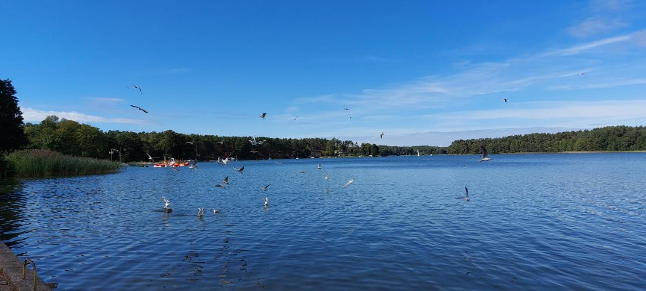 Domek Letniskowy U Marcina I Ani Borsk Esterno foto